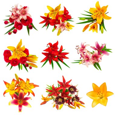 Koleksiyon lilyum çiçek ve güller 