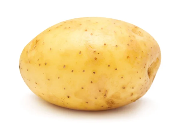 Unga potatis. Skörden nya. — Stockfoto