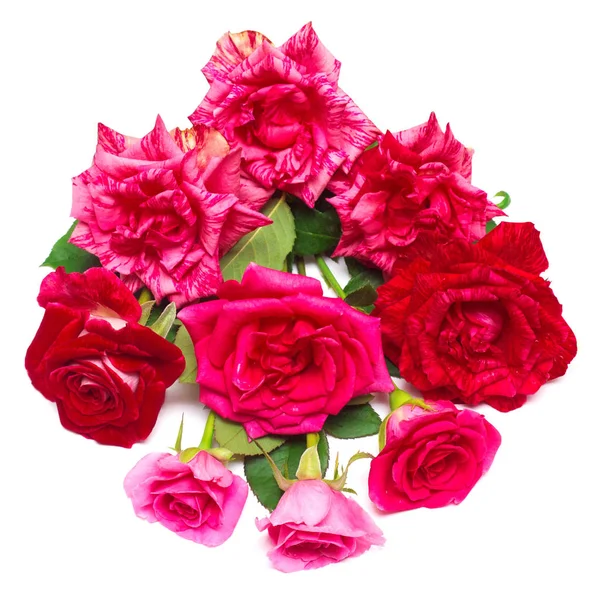 A beautiful bouquet of red flowers — Stock Photo, Image