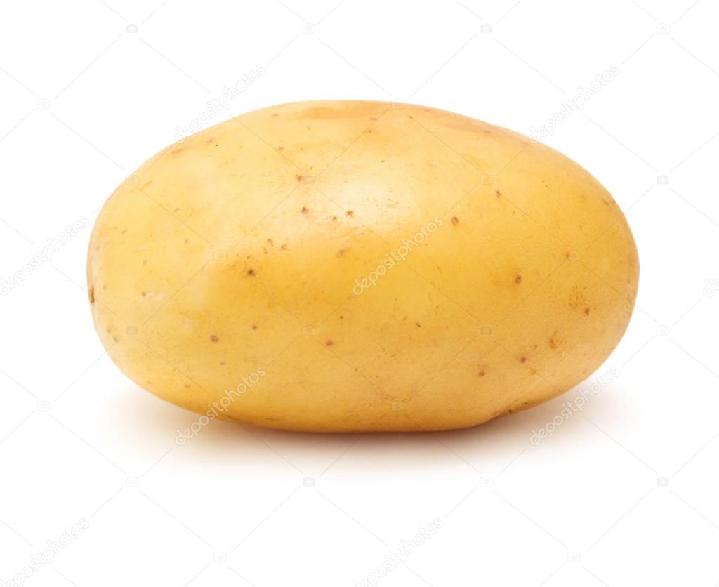 Young potato. Harvest new. 