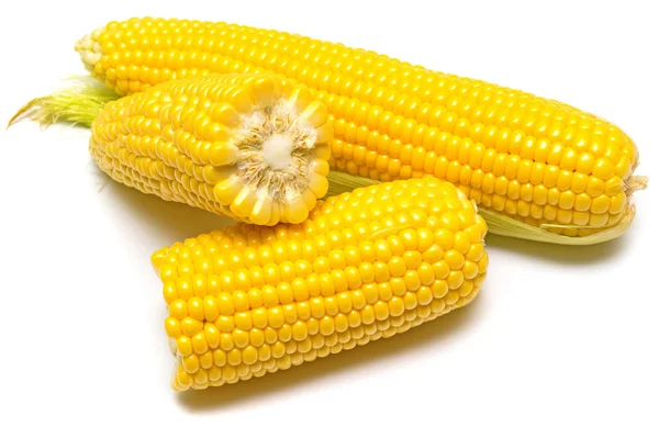 Ripe yellow Corn — Stock Photo, Image