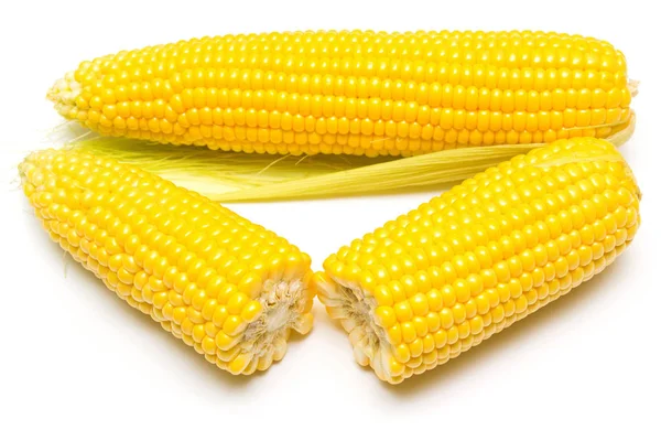 Ripe yellow Corn — Stock Photo, Image