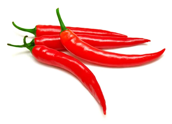 Zralé červené chilli papričky — Stock fotografie