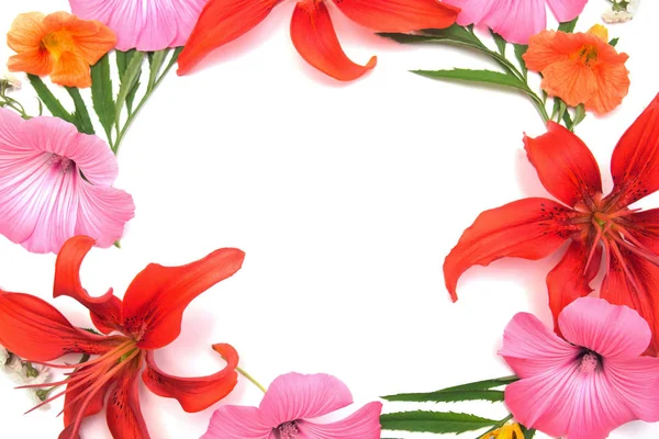 Wreath of flowers card — Stock Photo, Image