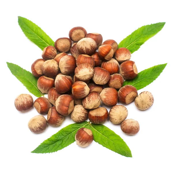 Fındık üzerinde beyaz izole balık şeklinde nane yaprakları ile 