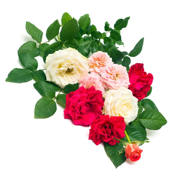 Egy szép csokor piros virágok, rózsák, elszigetelt fehér főleg CIG — Stock Fotó