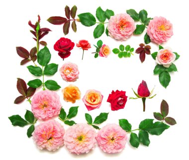 Yaprak ve çiçek pembe Gül beyaz b izole ile çelenk