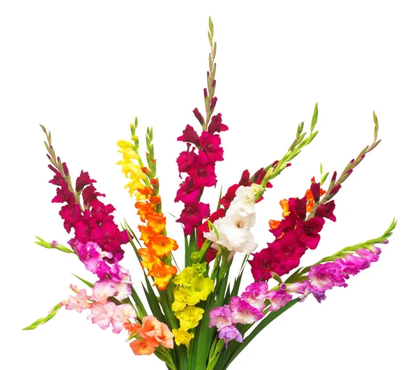 Vacker bukett av mångfärgade gladiolus blommor isolerad på — Stockfoto