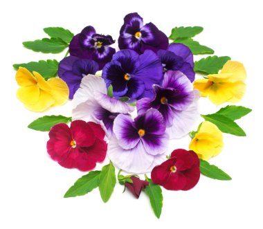 Sarı, mor ve kırmızı homo çiçekler ile güzel bir buket. B