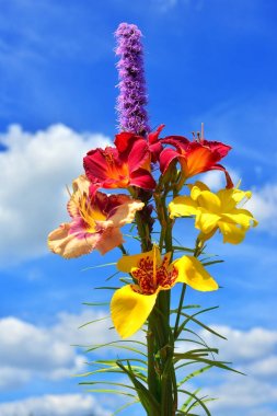 Güzel bir buket yaz çiçek daylily, liatris, bir