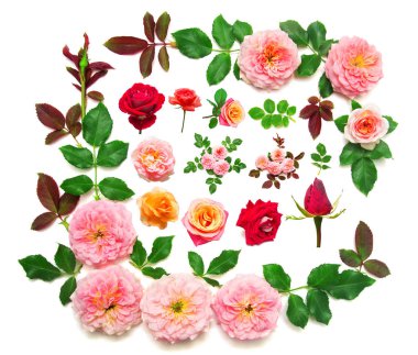 Yaprak ve çiçek pembe Gül beyaz b izole ile çelenk