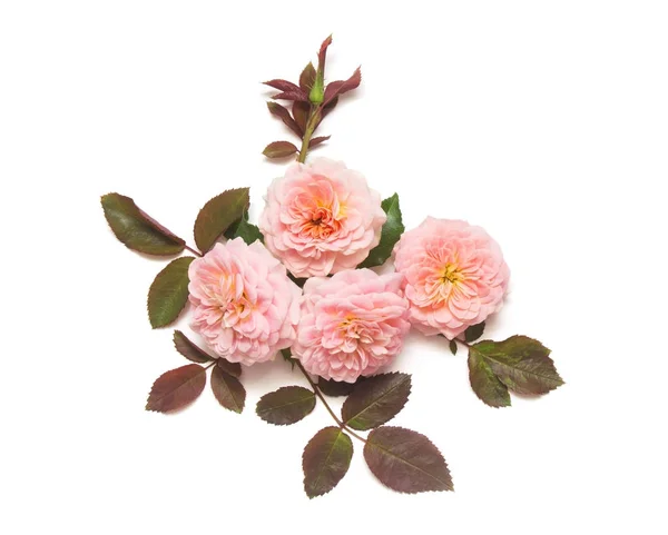 Een mooi boeket van roze bloemen rozen geïsoleerd op witte achterzijde — Stockfoto