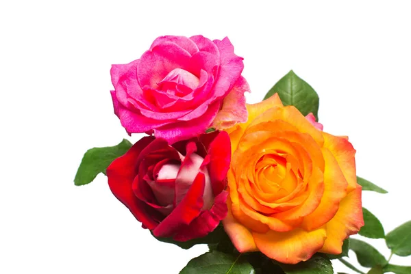 赤、オレンジ、ピンク色の美しい花の花束。ウェディング ブーケ — ストック写真