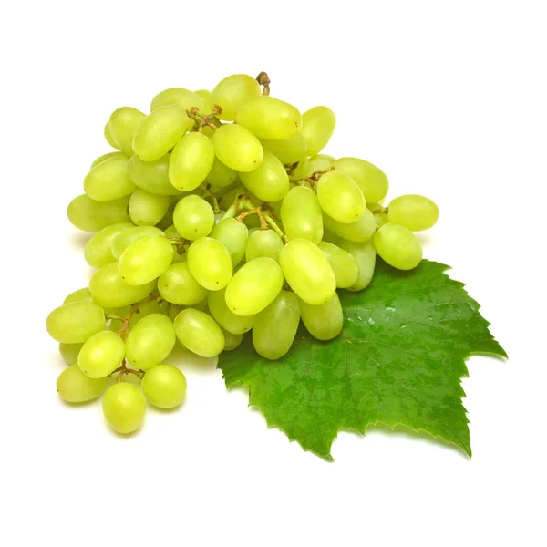 Ramo de uvas verdes frescas isolado sobre fundo branco. Criativa — Fotografia de Stock