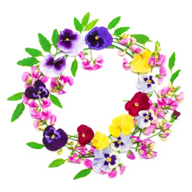 Çiçek pembe bezelye ve beyaz b izole sarı homo çelenk