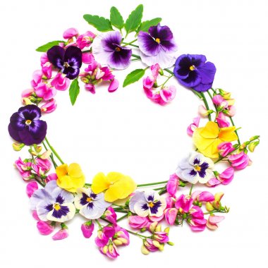 Çiçek pembe bezelye ve beyaz b izole sarı homo çelenk