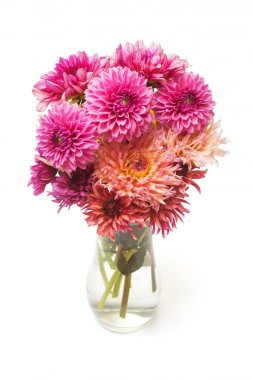Güzel moda pembe dahlia IA bir vazo olduğunu buket çiçek