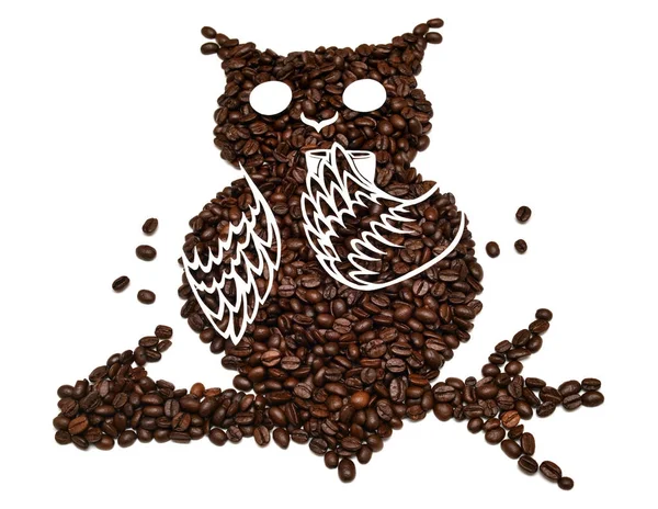 Owl from coffee beans. Owl drinking a cup of coffee, isolated on — Stock Photo, Image
