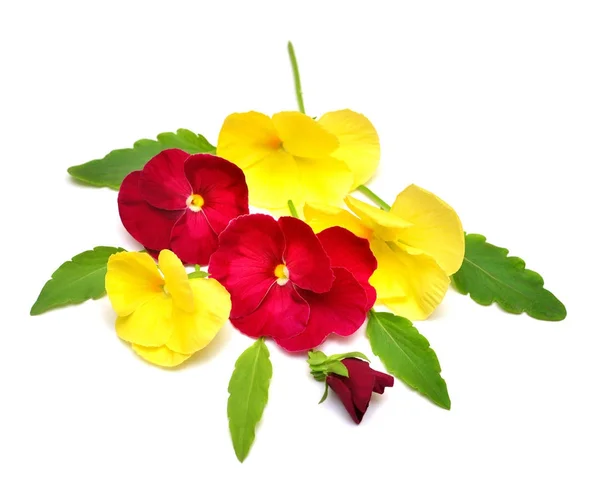 Un bel bouquet con fiori gialli e rossi da femminuccia. Ramo un — Foto Stock