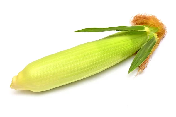 Een maïs geïsoleerd op een witte achtergrond. Bovenaanzicht, plat — Stockfoto