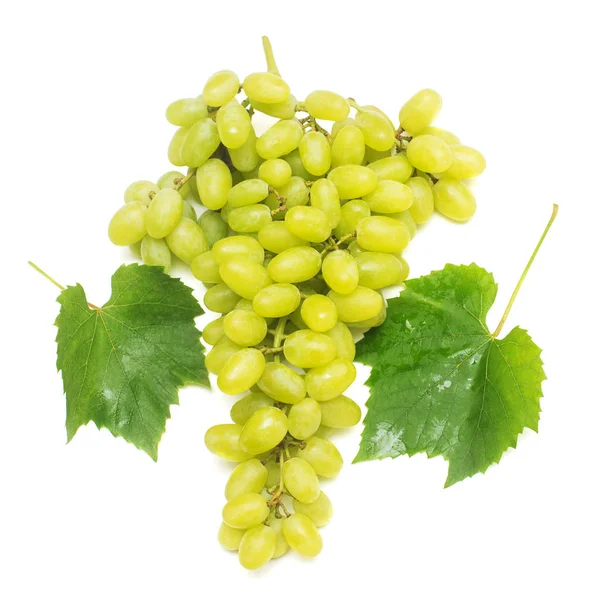 Rama de uvas verdes frescas aisladas sobre fondo blanco. Creativo —  Fotos de Stock