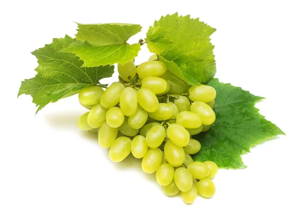 Gałęzi świeżych zielonych winogron na białym tle. Creative — Zdjęcie stockowe