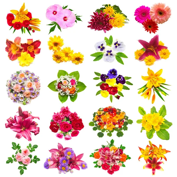 Bloemen collectie van rozen, lelies, chamomiles, hibiscus, chrys — Stockfoto