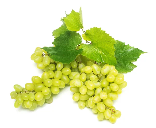 Gałęzi świeżych zielonych winogron na białym tle. Creative — Zdjęcie stockowe