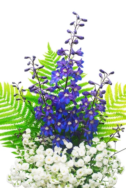 Flowers of dolphinium and yarrow with a leaf of fern isolated on — Stock Image Flowers of dolphinium and yarrow with a leaf of fern isolated on Royalty Free Stock Photos