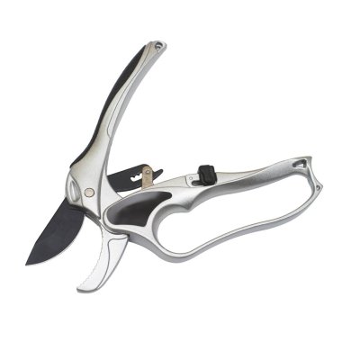 Profesyonel titanyum secateurs beyaz arka plan üzerinde izole bahçe işleri için