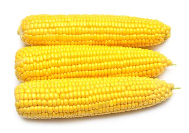 Beyaz arka plan üzerinde izole bir Mısır. Düz yatıyordu, en iyi görünümü