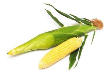 Mısır cilt veya deri üzerinde beyaz arka plan izole olmadan. Mısır koleksiyonu. Düz yatıyordu, en iyi görünümü