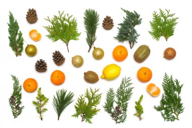 Limon, kivi, mandalina, portakal, Noel top ve çam kozalakları iğne yapraklı bitkiler ile tropikal meyve yaratıcı şenlikli kartından. Ardıç, çam ağaçları, Mazı (bitki) dallarında. Glitter. Yeni yıl, 2019. Düz yatıyordu, en iyi görünümü 