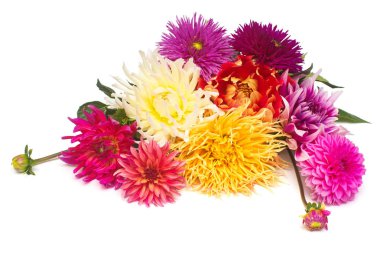 Çiçekler beyaz arka plan üzerinde izole güzel buket dahlias makro doğa. Botanik, kavram, flora, fikir. Düz yatıyordu, en iyi görünüm. Düğün, Gelin, aşk