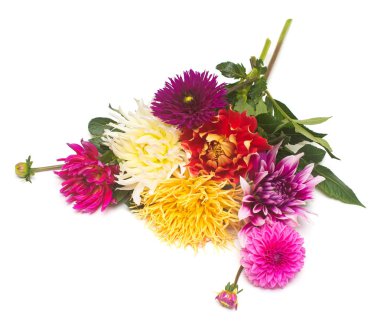 Çiçekler beyaz arka plan üzerinde izole güzel buket dahlias makro doğa. Botanik, kavram, flora, fikir. Düz yatıyordu, en iyi görünüm. Düğün, Gelin, aşk