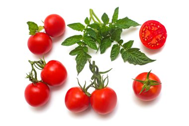 Domates toplama bütün ve dilimlenmiş domates yaprak beyaz arka plan üzerinde izole bir dalı ile. Lezzetli ve sağlıklı yemek. Düz yatıyordu, en iyi görünümü 