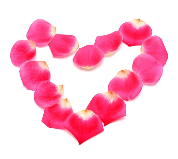 Pétalos Corazón Flores Rosas Aisladas Sobre Fondo Blanco Concepto Creativo — Foto de Stock