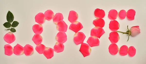 Amor Inscripción Pétalos Rosa Rosa Concepto Creativo Moda Flores Flora — Foto de Stock