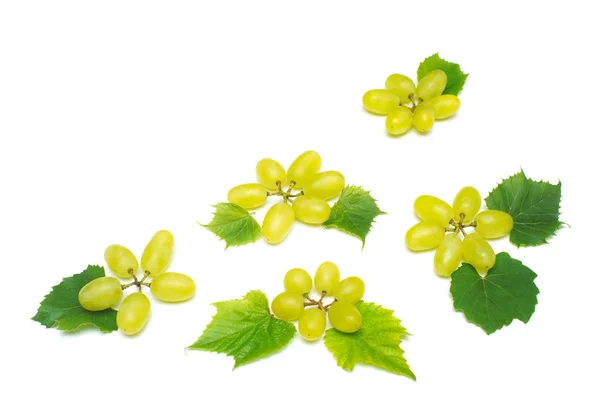 Ramo Uvas Verdes Frescas Isolado Sobre Fundo Branco Conceito Criativo — Fotografia de Stock