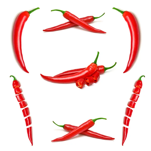 Eine Sammlung Roter Chilischoten Isoliert Auf Weißem Hintergrund Gewürze Kochen — Stockfoto