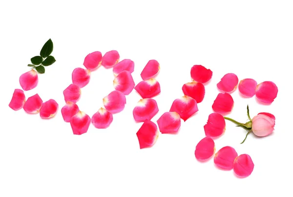 Inschrift Liebe Aus Rosenblättern Ist Rosa Isoliert Auf Weißem Hintergrund — Stockfoto