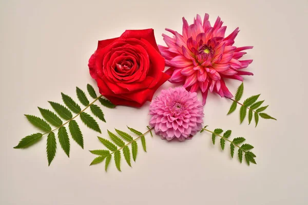 Retro Und Vintage Blumen Rosen Dahlien Chrysanthemen Und Blätter Auf — Stockfoto