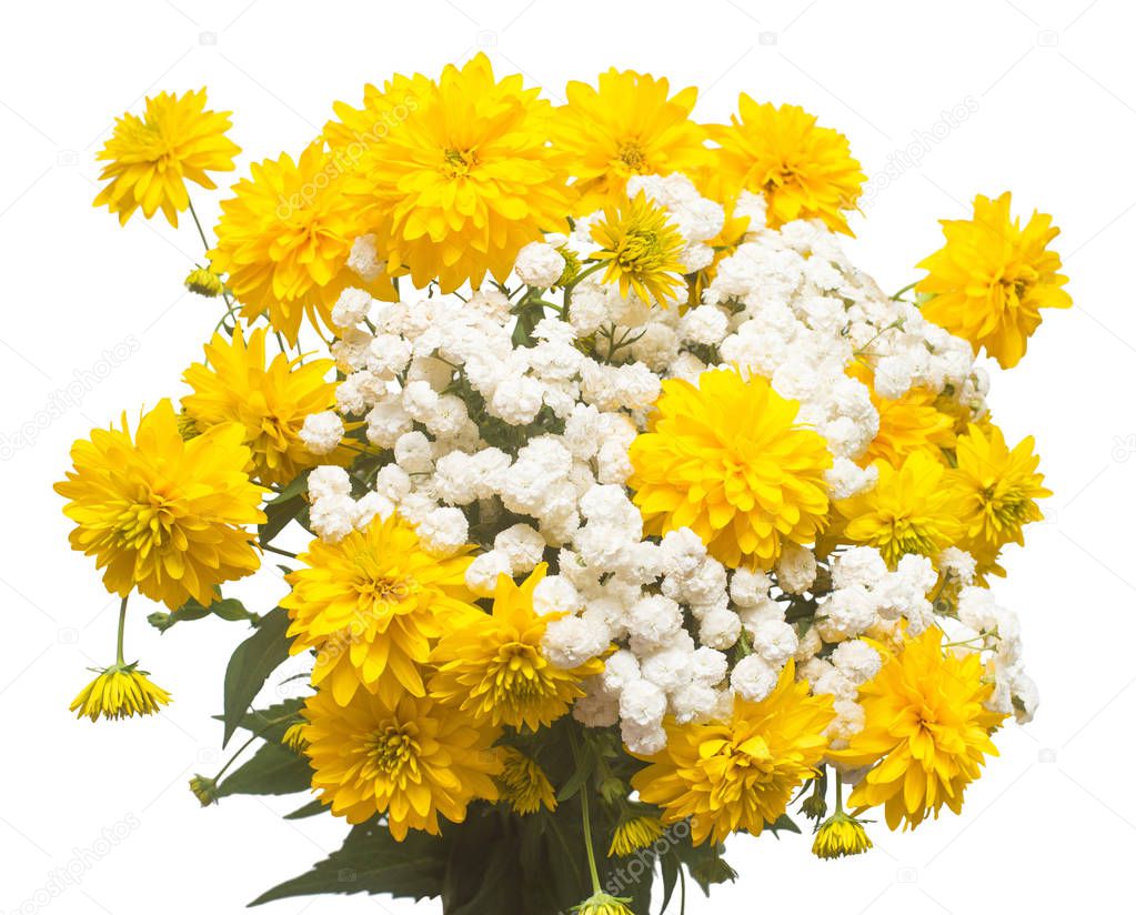 Bouquet flowers rudbeckia golden ball and yarrow  isolated on white background