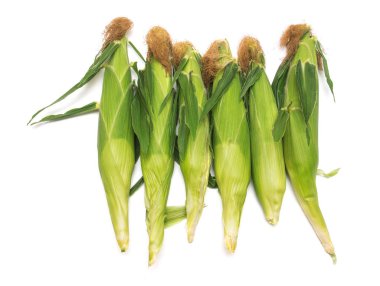 Mısır beyaz arka plan üzerinde izole deri ile. Mısır koleksiyonu. Üstten Görünüm, düz