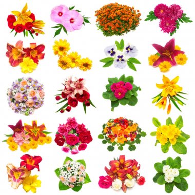 Güller, lilyum, chamomiles, ebegümeci, Kasımpatı, civanperçemi, Hercai Menekşe ve diğerleri beyaz arka plan üzerinde izole çiçek koleksiyonu. St. Valentine's Day. Paskalya. Düz yatıyordu, en iyi görünümü 