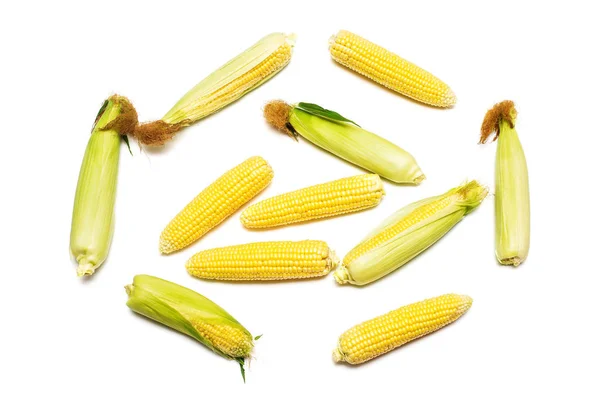 Corn Skin Skin Isolated White Background Collection Corn Top View — Stock Photo, Image