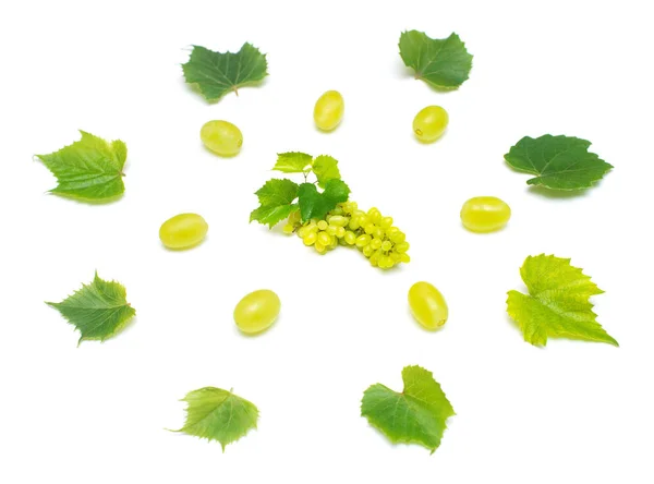 Rama Uvas Verdes Frescas Aisladas Sobre Fondo Blanco Concepto Creativo —  Fotos de Stock