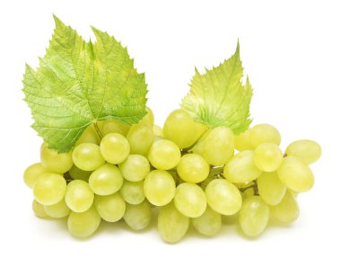 Taze yeşil üzüm dalı ve beyaz arkaplanda yaprak var.