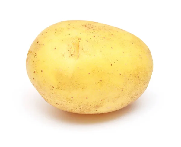 Jonge aardappel geïsoleerd op een witte achtergrond. Nieuwe oogst. Plat leggen — Stockfoto