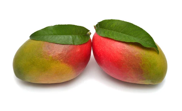 Dos frutos de mango con hoja aislada sobre fondo blanco. Puesta plana —  Fotos de Stock